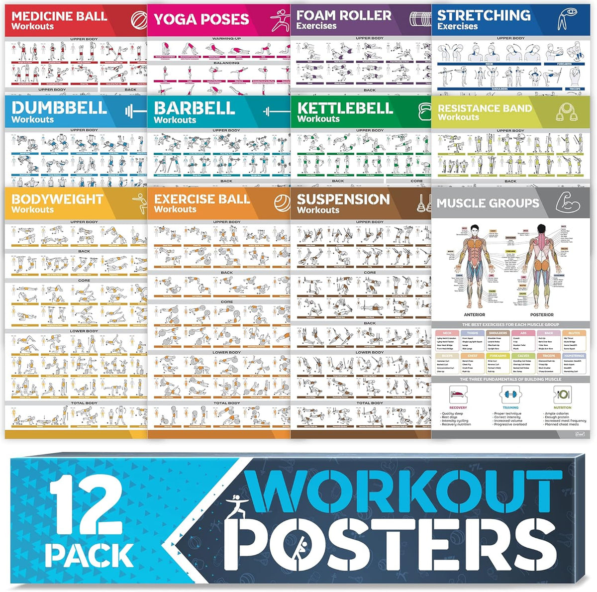 12-PACK Large Workout Poster Set - Ultimate Home Gym Charts – GearMustHave