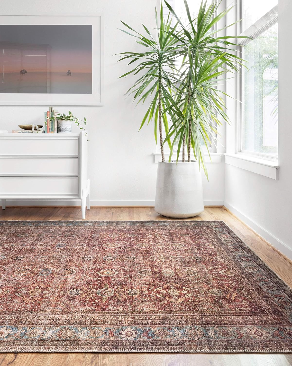 Loloi Layla Collection Vintage Inspired Accent Rug for Any Room