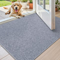 Color&Geometry Ultra Thin Indoor Door Mat 32x48 - Low Profile Dirt