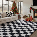Checkered Rug 6x9 for Living Room - Soft Black and White Shag Rug