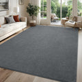 6x9 Feet Area Rug for Living Room - Large Dark Grey Low Pile Washable