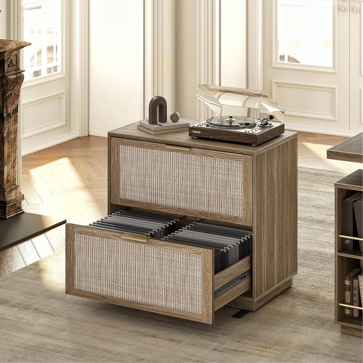 2 Drawer Rattan File Cabinet for Home Office Storage Needs