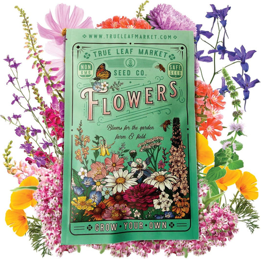 Pollinator Wildflower Seeds Bulk 5 lb for Hummingbirds & Butterflies