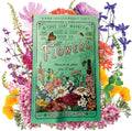 Pollinator Wildflower Seeds Bulk 1 lb for Hummingbirds & Butterflies