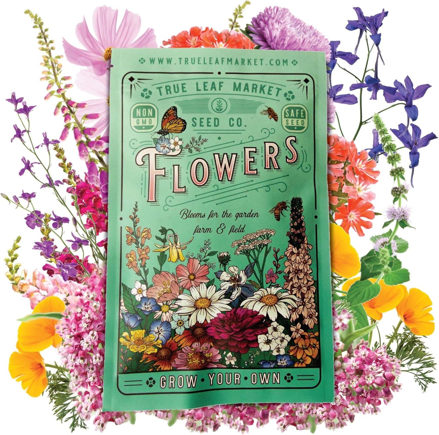 Pollinator Wildflower Seeds Bulk 1 lb for Hummingbirds & Butterflies