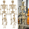 Posable Life Size Human Skeleton Family 4pk - Realistic, Articulated