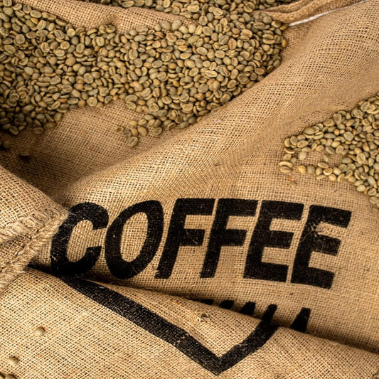 Hudson Roasters: 5 lb Honduras Green Coffee Beans