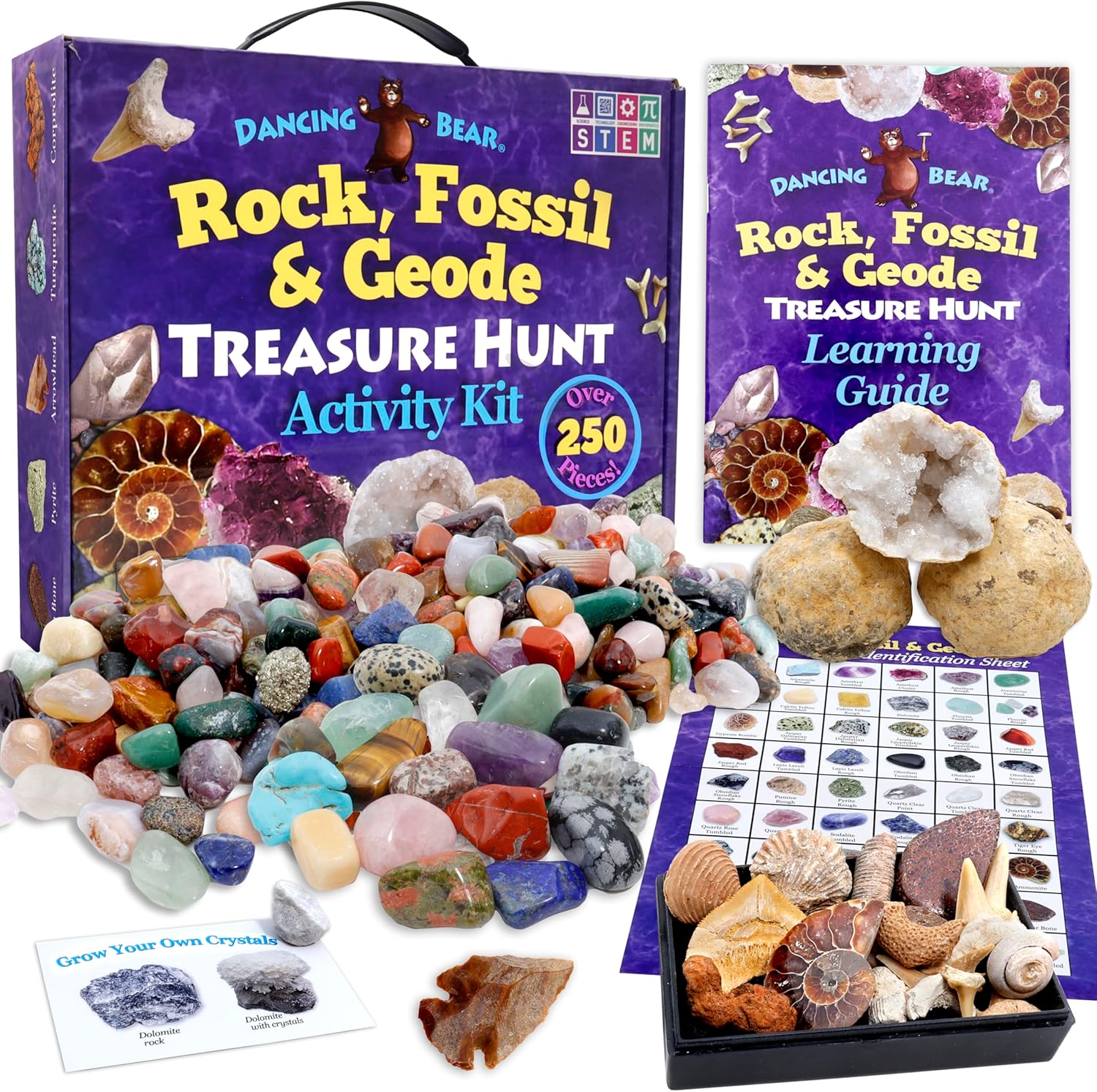 DANCING BEAR Rock, Mineral & Geodes Treasure Hunt Kit for Kids