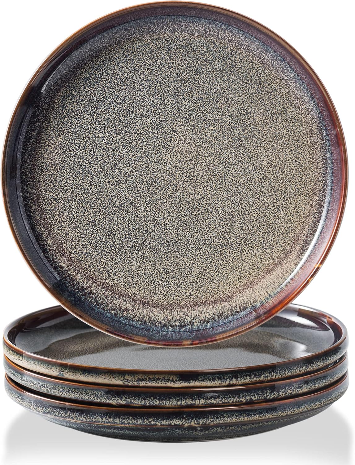 Ceramic Dinner Plates Set of 4 - Large 10 Inch Dinnerware