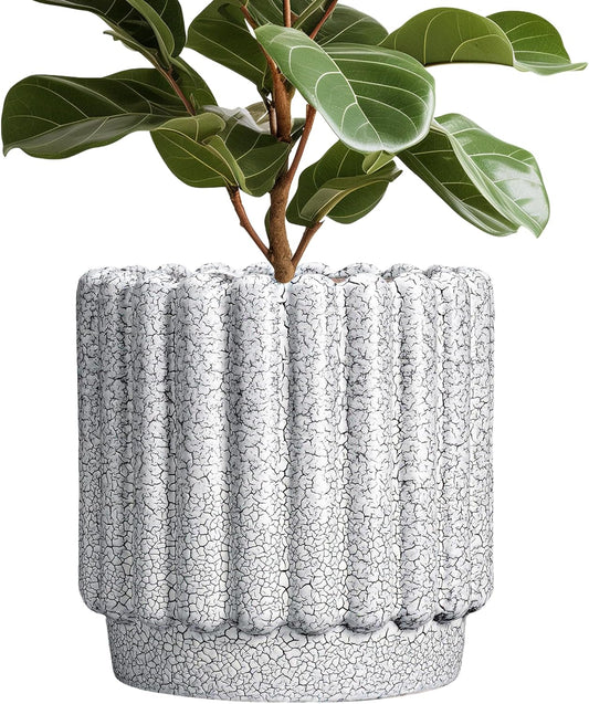 Stylish 12 Inch Ceramic Planter for Indoor and Outdoor Use
