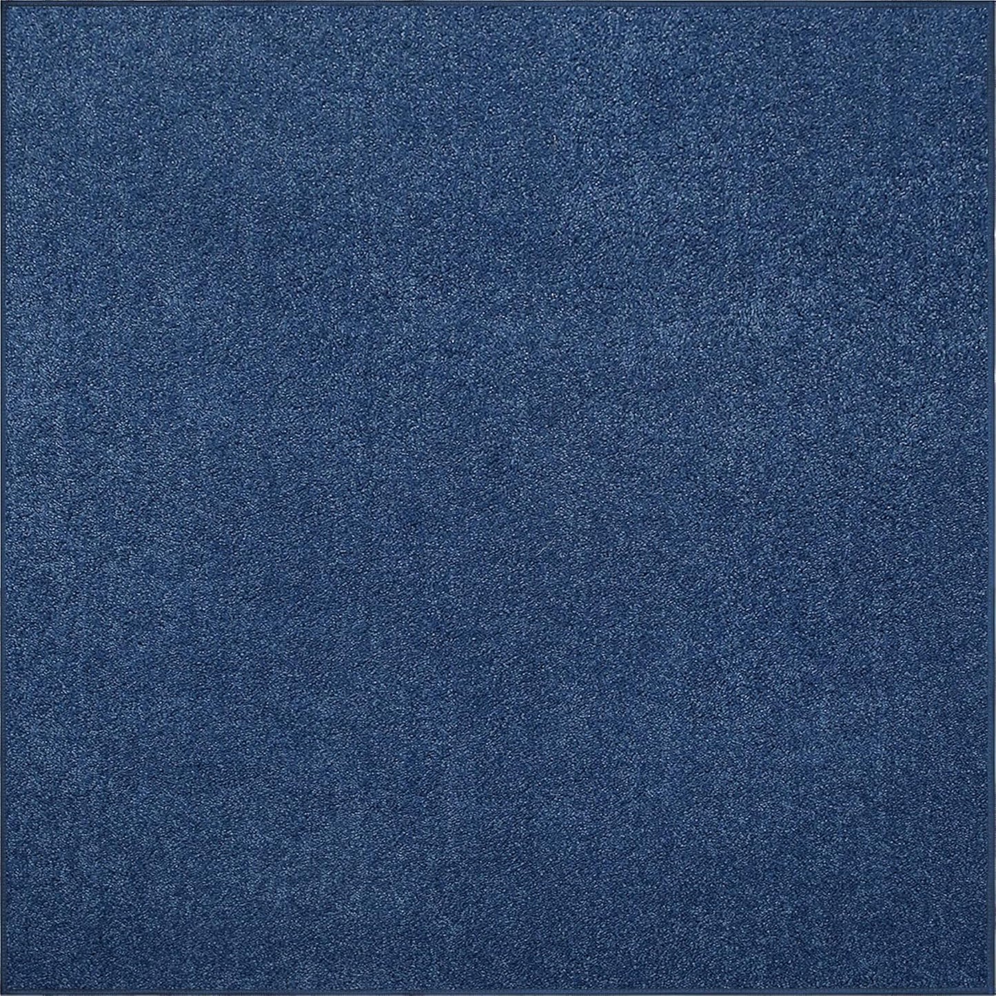 Royal Blue Area Rug - Pet Friendly, Soft, and Stylish Decor