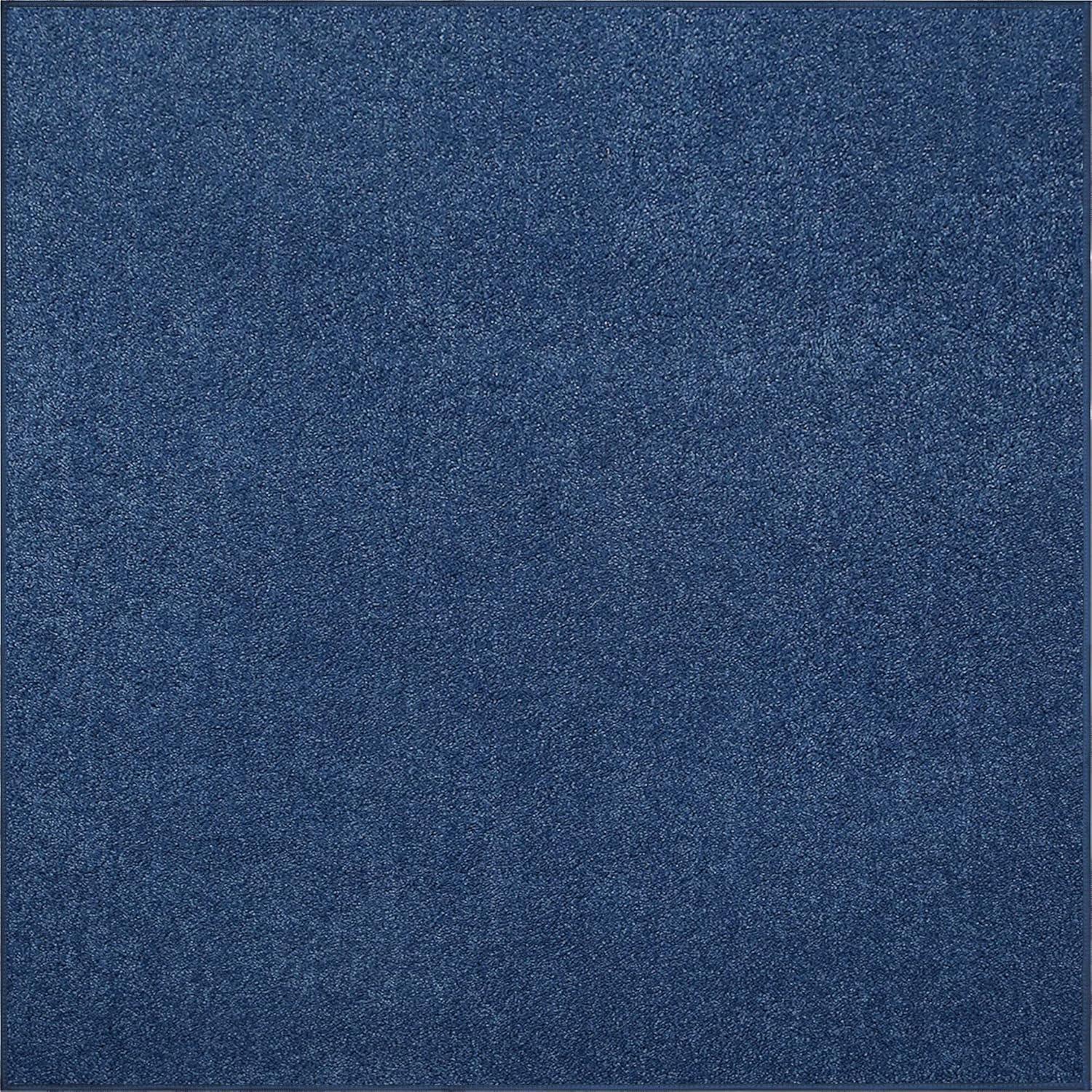 Royal Blue Area Rug - Pet Friendly, Soft, and Stylish Decor