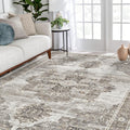 Washable 5x7 Area Rug 5x7 Grey - Stain Resistant Vintage Style