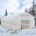 YITAHOME 20x10x6.5ft Greenhouse for Outdoor Plant Gardening
