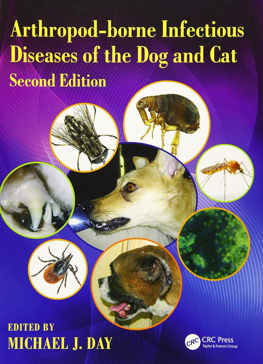 Arthropod-borne Infectious Diseases of the Dog and Cat Review