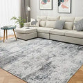 Area Rug Living Room Rugs 3x5 Low Shaggy - Soft Washable Accent