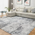 Soft Fluffy Area Rug for Living Room - Cozy Home Carpet Design