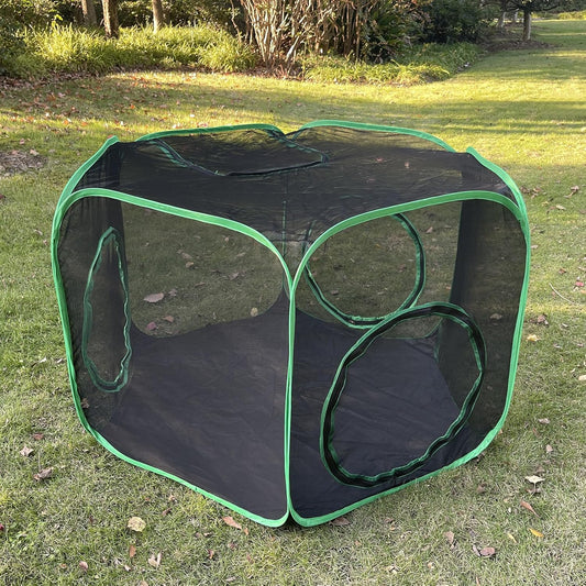 Enhance Kitty's Comfort with Pawtenda Tent