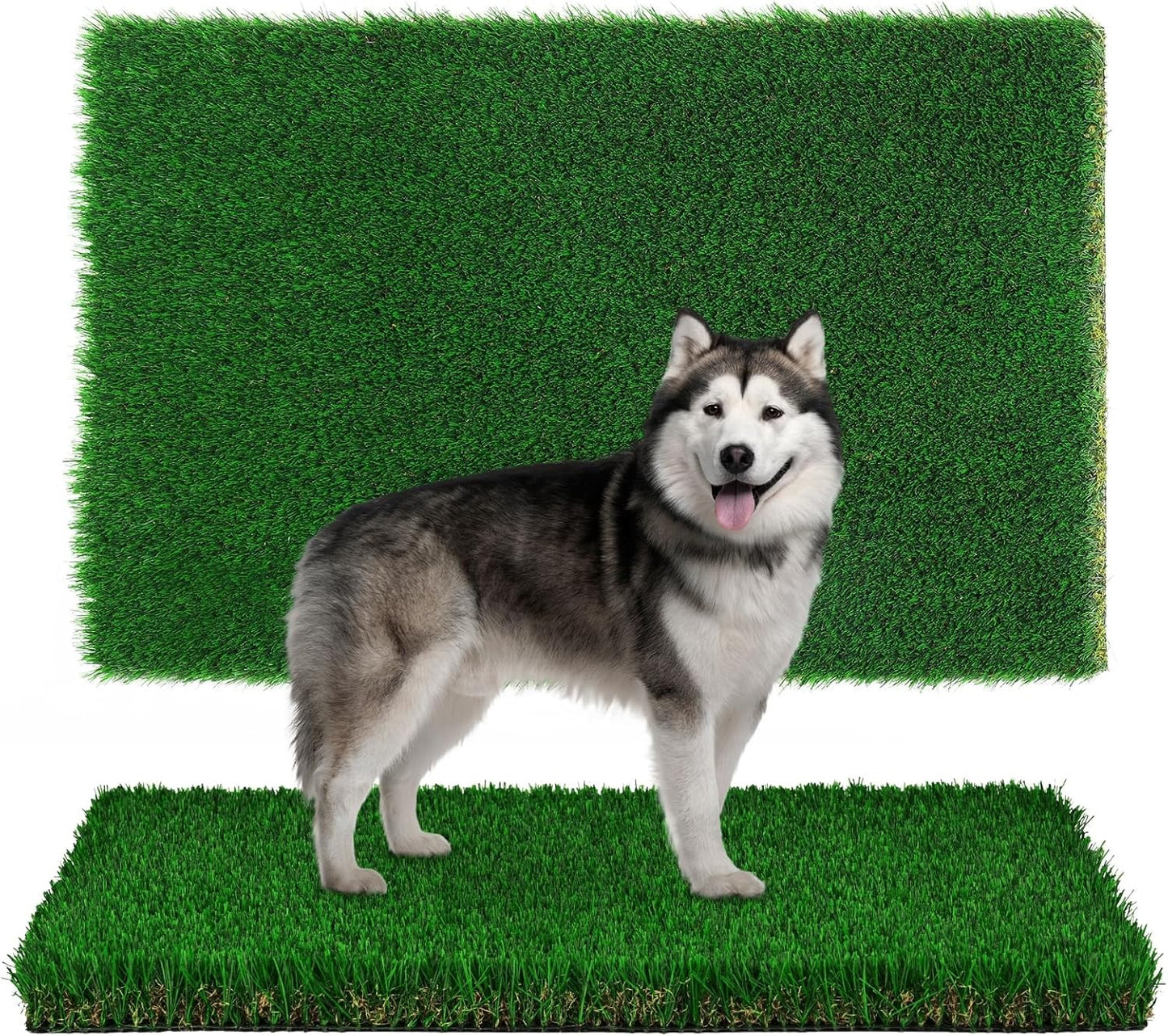 Artificial Grass for Dogs Potty Training - Perfect for Indoor Use