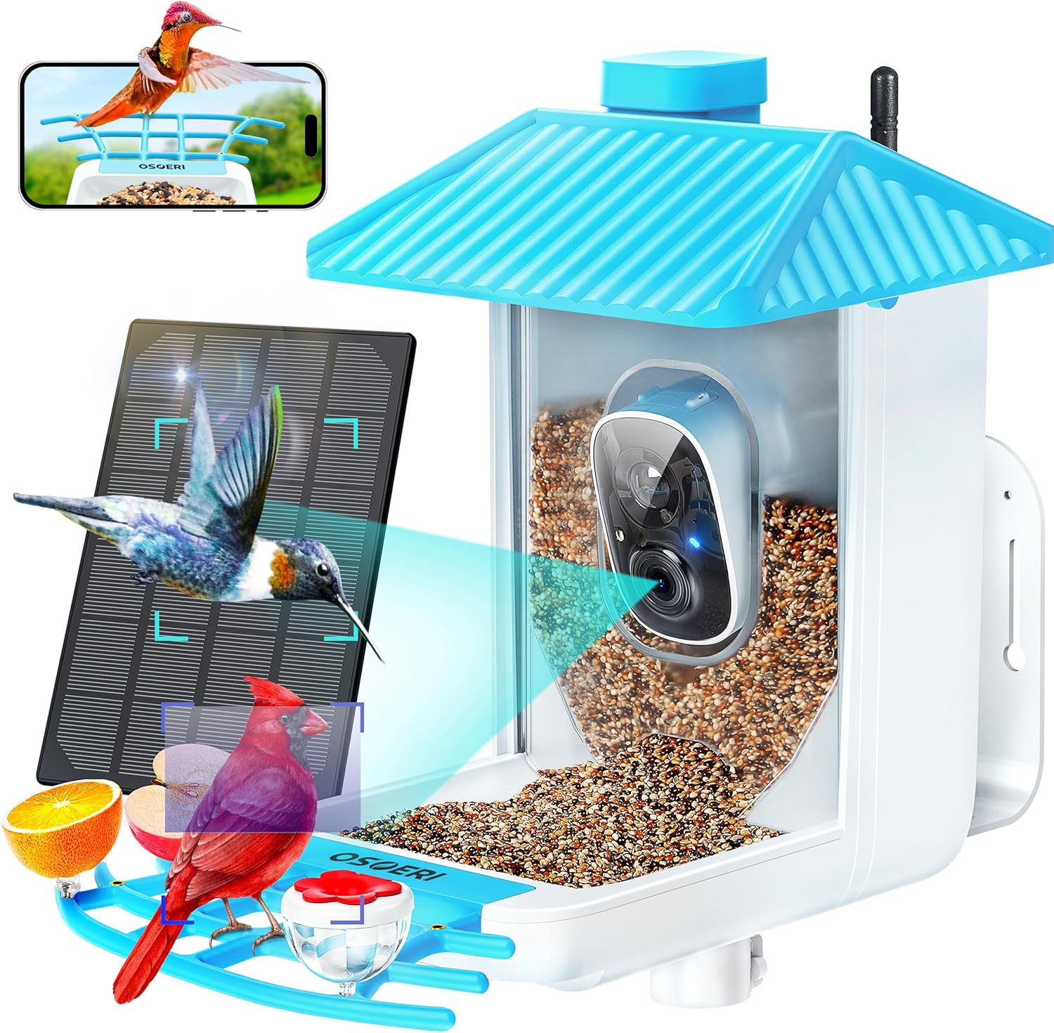Capture Birds in HD - Osoeri Solar Feeder with AI