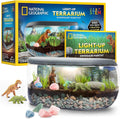 Light Up Terrarium Kit for Kids - Build a Dinosaur Habitat