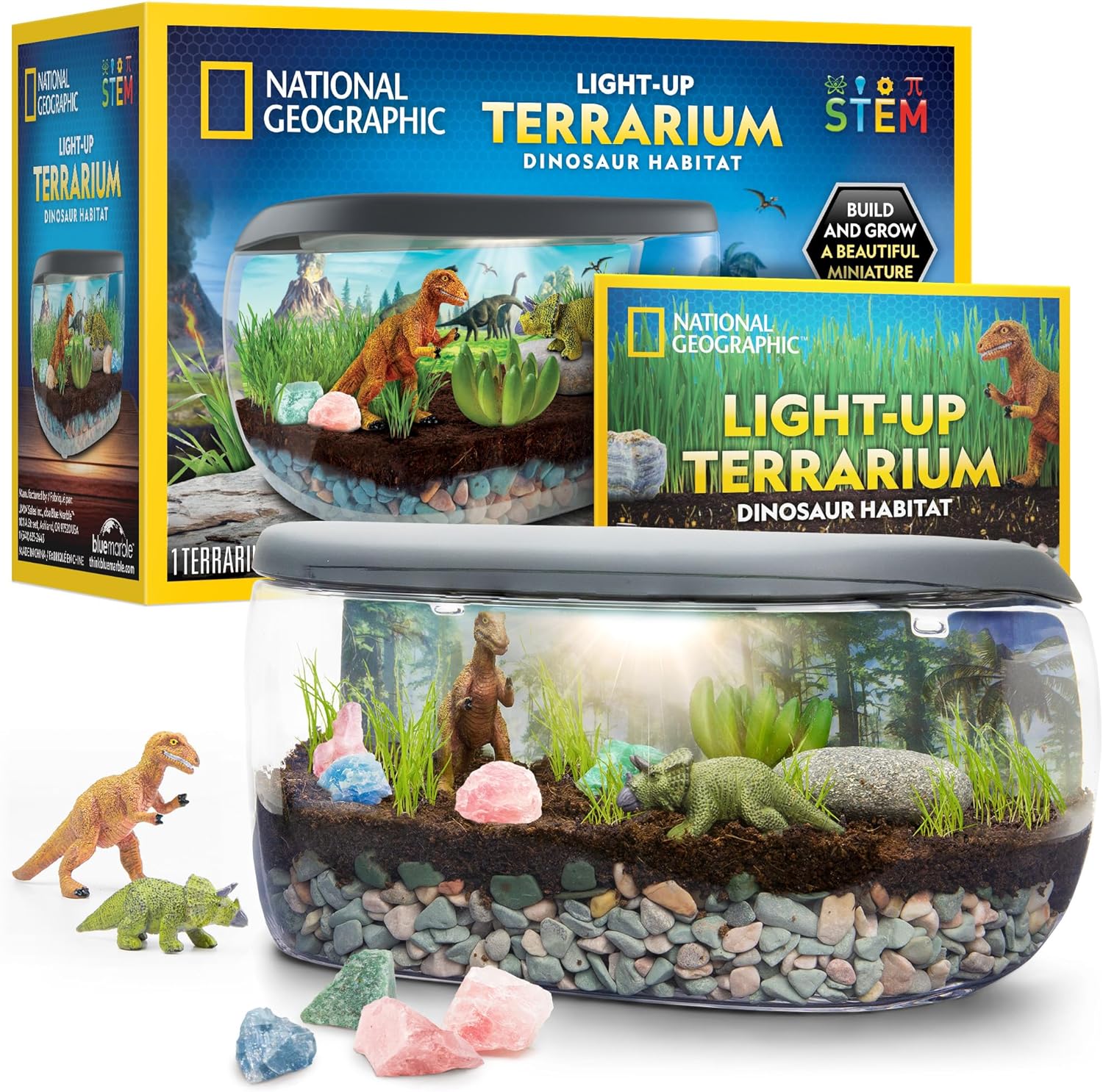 Dinosaur Terrarium Kit - Real Plants & Gemstones, Science Gift for Kids