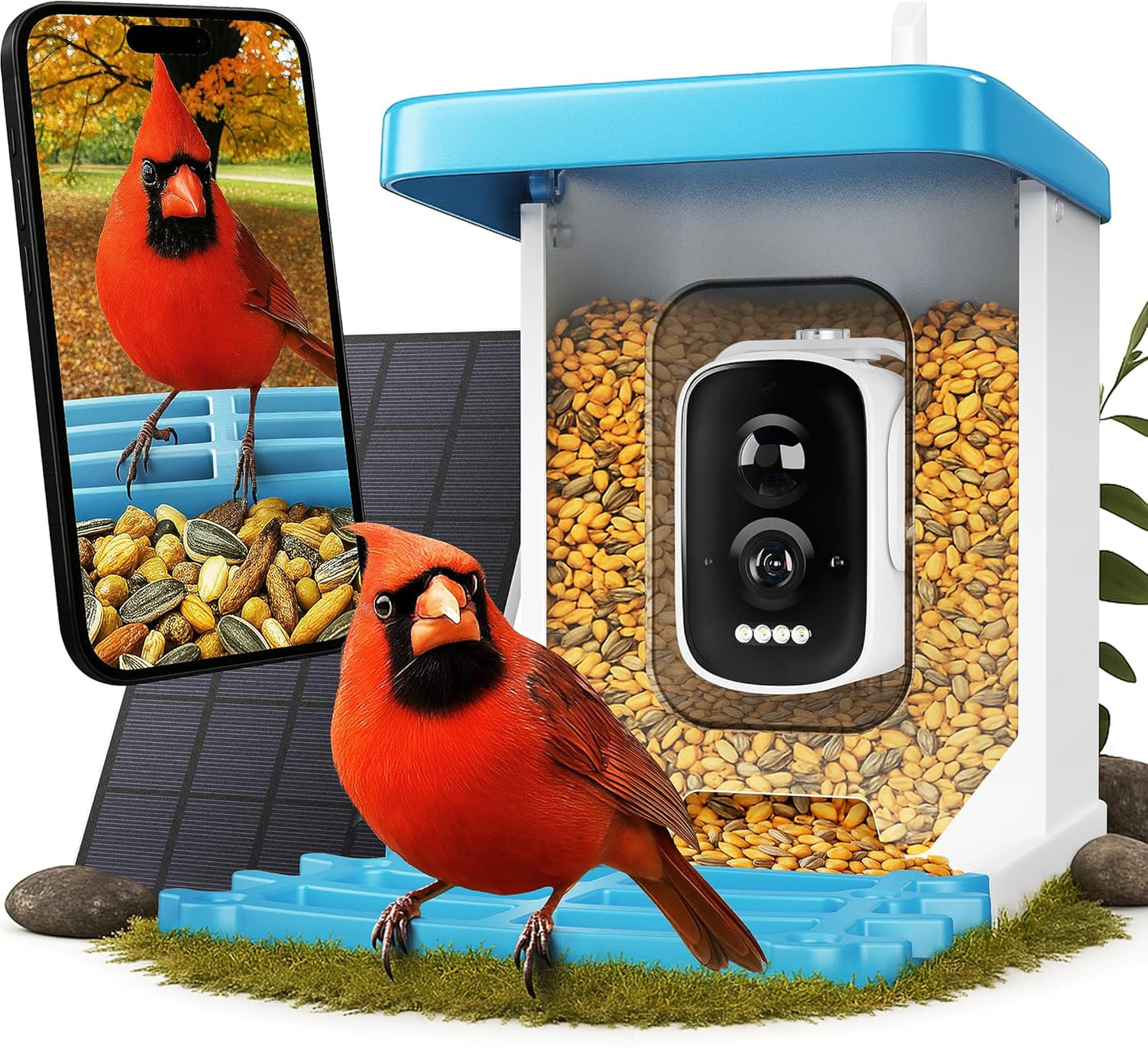 Smart Bird Feeder: HD Video, AI Identify, Auto Capture