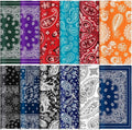 Elegant Paisley Microfiber Lens Wipes by Copkim