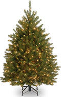 National Tree Company 4 ft Pre-Lit Dunhill Fir Christmas Tree