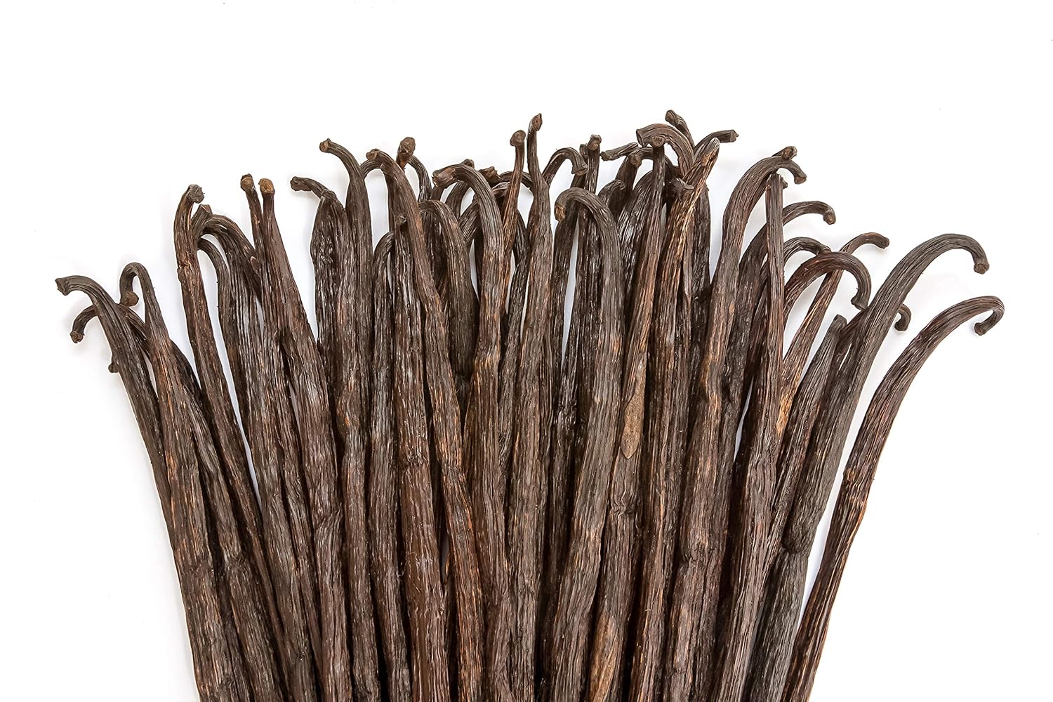 1 LB Vanilla Beans for Baking, Brewing, and Homemade Extract