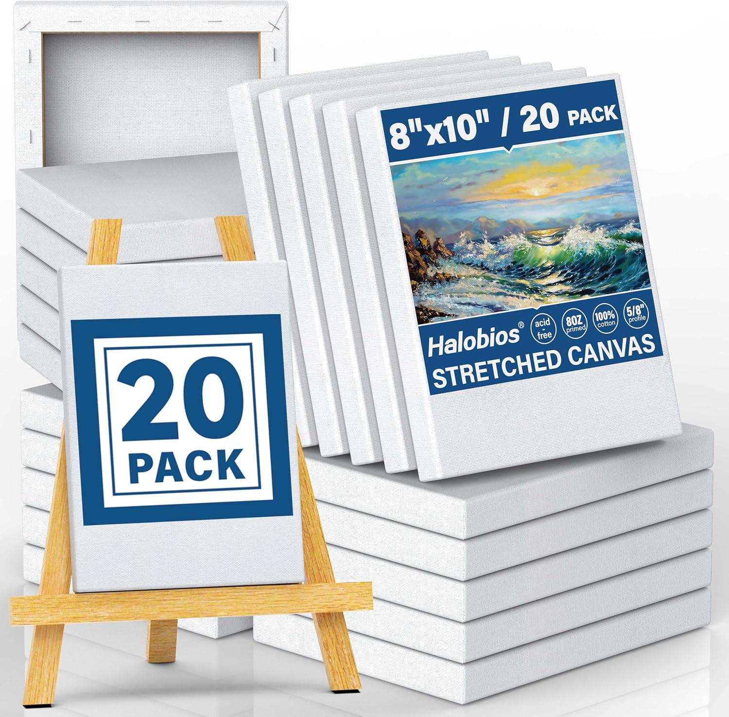 Blank Canvases 8x10in Stretched Canvas Pack for Artists