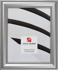 Craig Frames Victoria 14x19 Picture Frame Ornate Silver - Classic