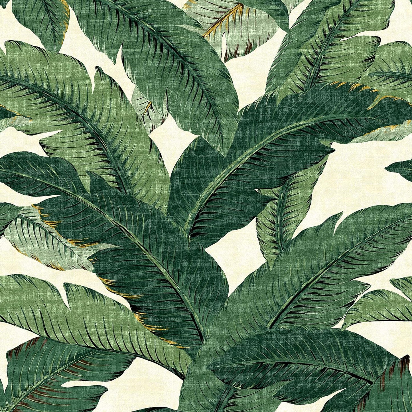 Tropical Peel and Stick Wallpaper for Bedroom and Kitchen