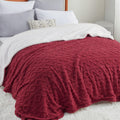 Bedsure Gentlesoft Sherpa Queen Blanket - Reversible Cozy Throw