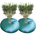 2-Pack Tree Watering Ring 20 Gallon Slow Release Bags - Deep Root Care