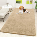 Dog Door Mat 70x46 Beige - Chenille Mud Mat for Paws