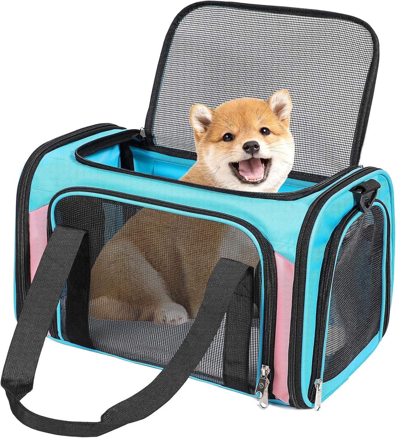 Discala Cat Dog Carrier for Small Pets - Lightweight and Durable