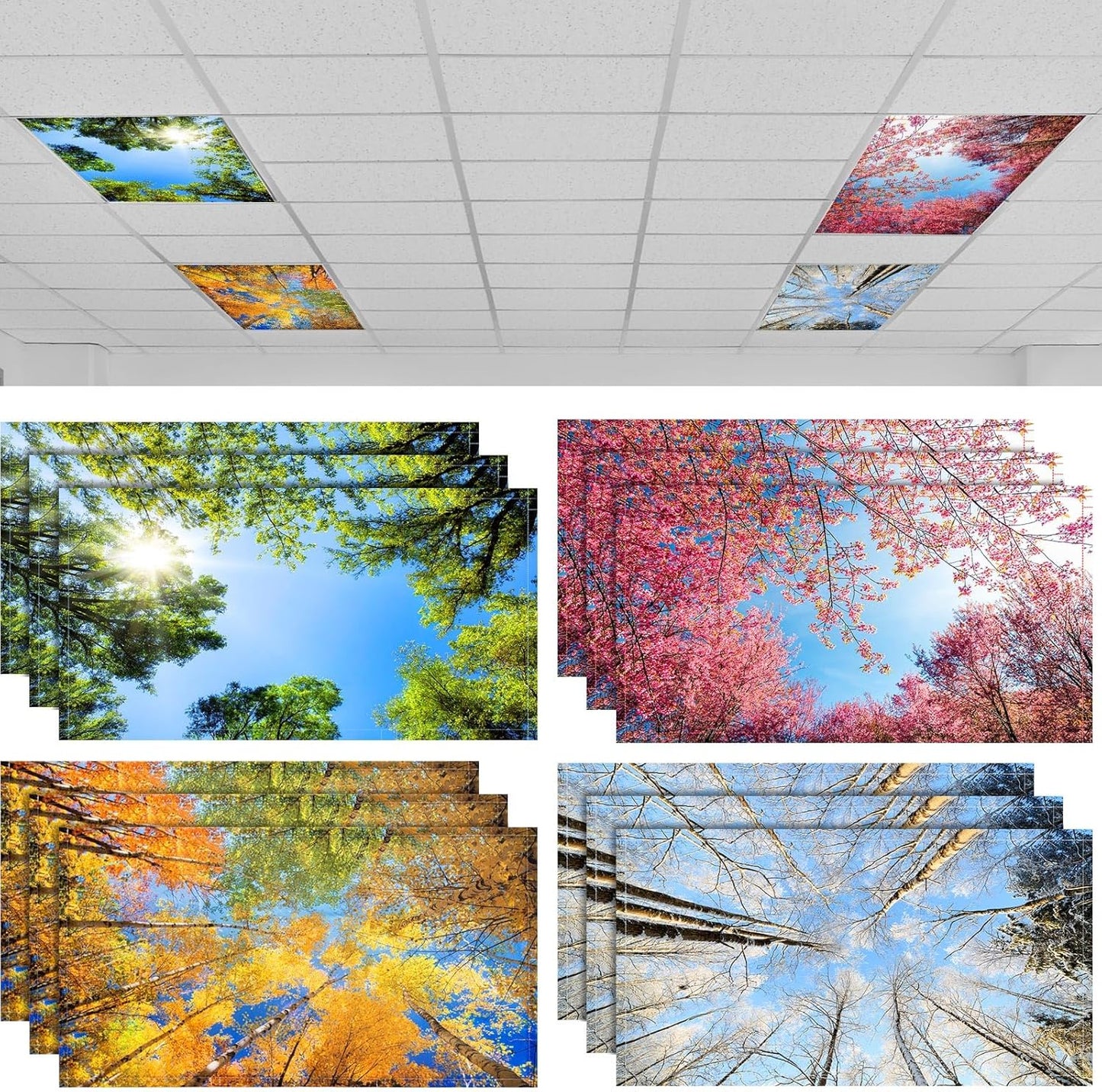 Hortsun Fluorescent Light Covers for Home and Office Decor