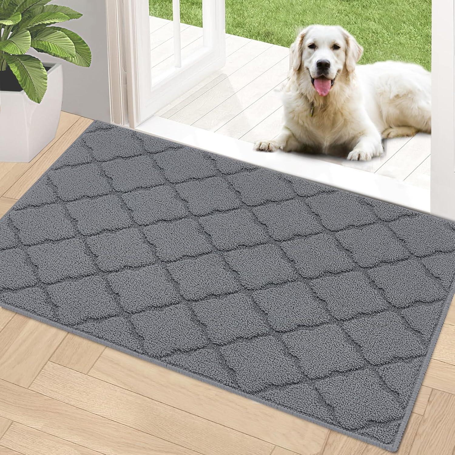 Timo Indoor Doormat 36x59 Absorbent Non Slip Rug for Entryway