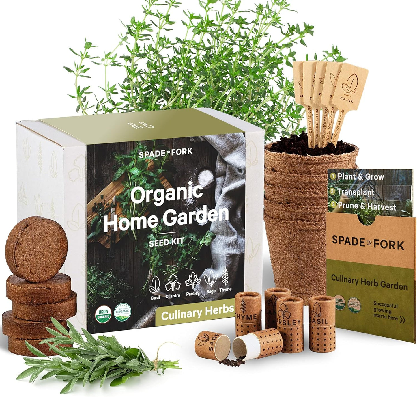Organic Herb Garden Kit Indoor - Perfect for Home Cooking