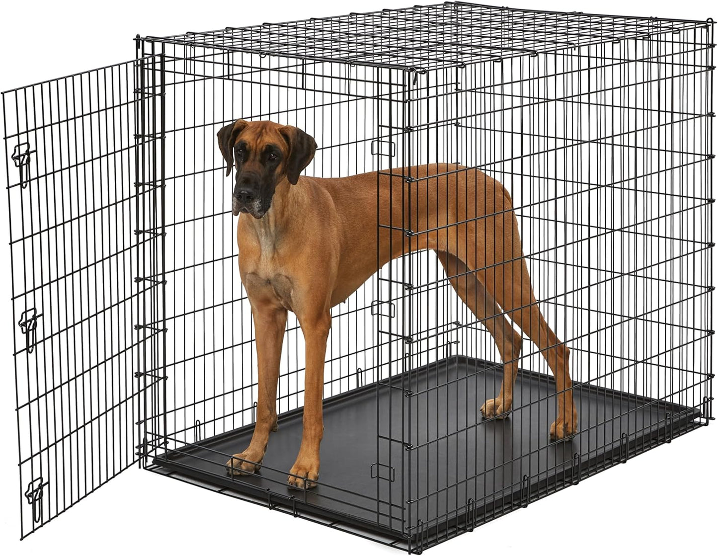 Ginormous 54-Inch Dog Crate for XXL Breeds Like Great Dane