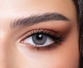 Bella Elite Cosmetic Eye Color Enhancer Midnight Blue - Subtle to Bold