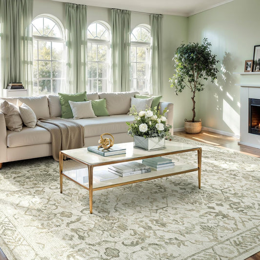 Deerly Vintage Floral Area Rugs 9x12 for Living Room Soft
