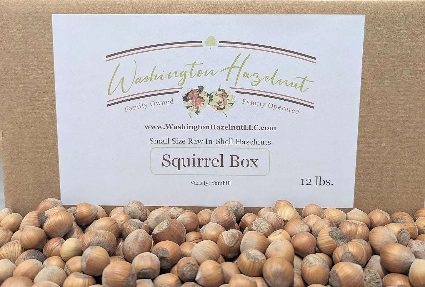 Raw or Roasted Hazelnuts in Shell from Family Orchard in Washington