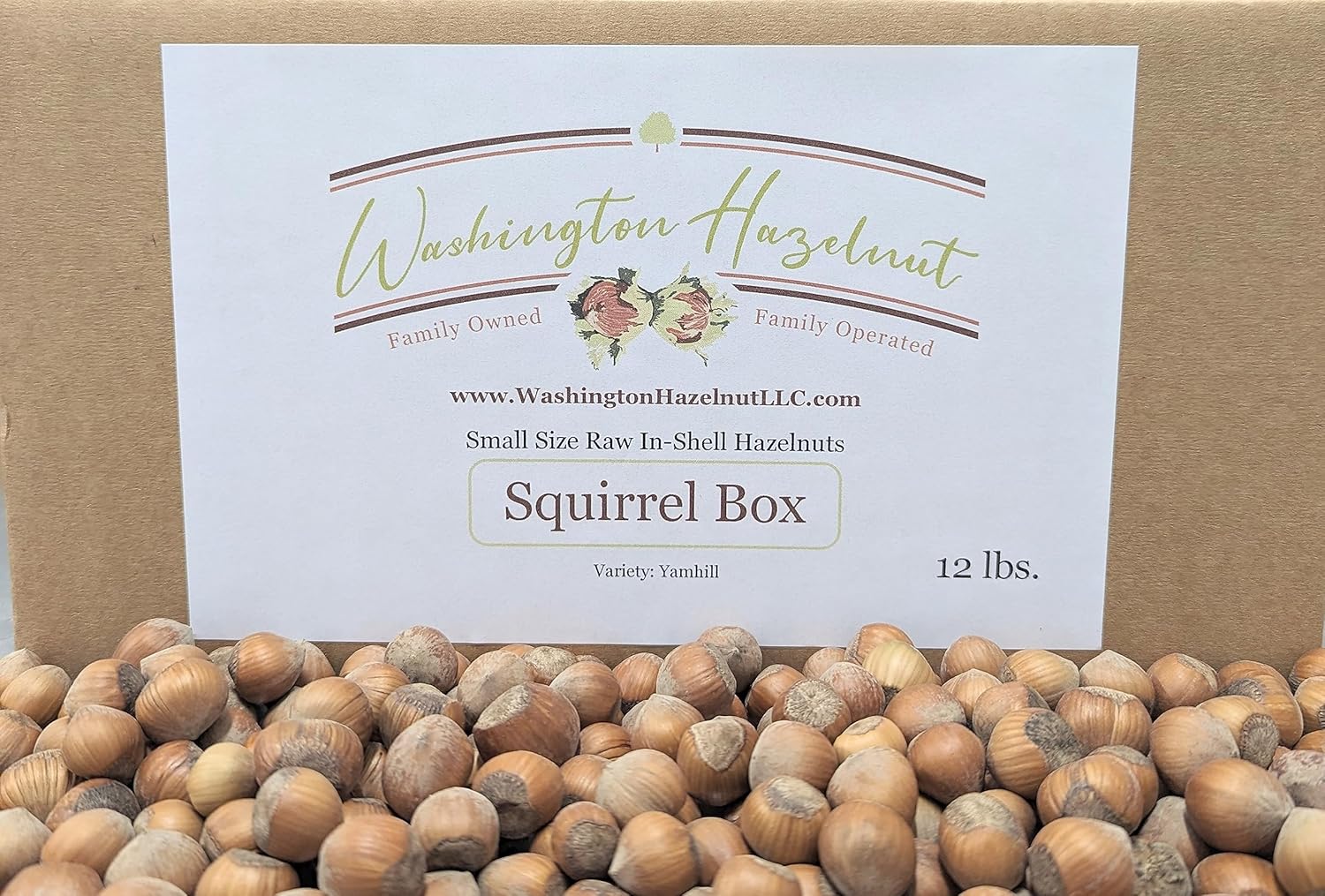Raw or Roasted Hazelnuts in Shell from Family Orchard in Washington