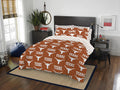Northwest NCAA Unisex-Adult Bed in a Bag Set - Team Bedding Fan