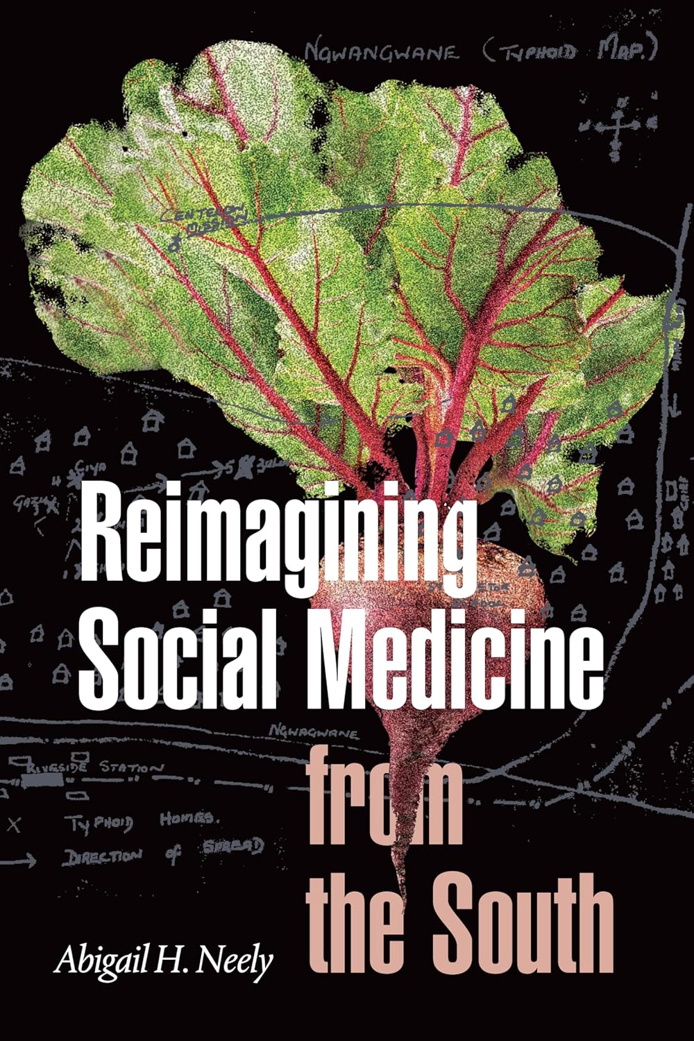 Reimagining Social Medicine from the South: A Comprehensive Guide