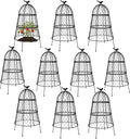 Pack of 10 Heavy-Duty Chicken Wire Plant Cloches - Rustproof Garden