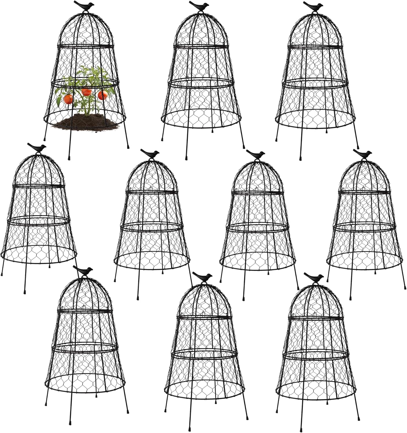 Heavy-Duty Chicken Wire Plant Cloches for Garden Protection