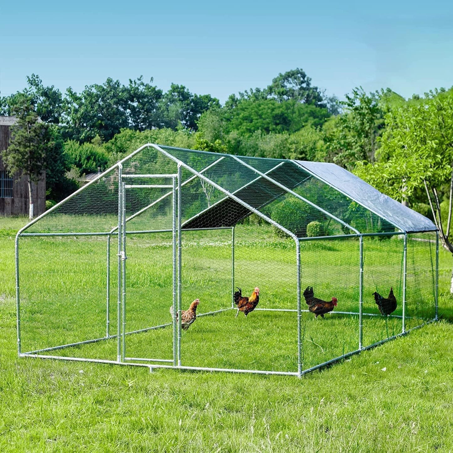 HITTITE Large Metal Chicken Coop: Spacious & Weatherproof Walk-In Poultry Cage